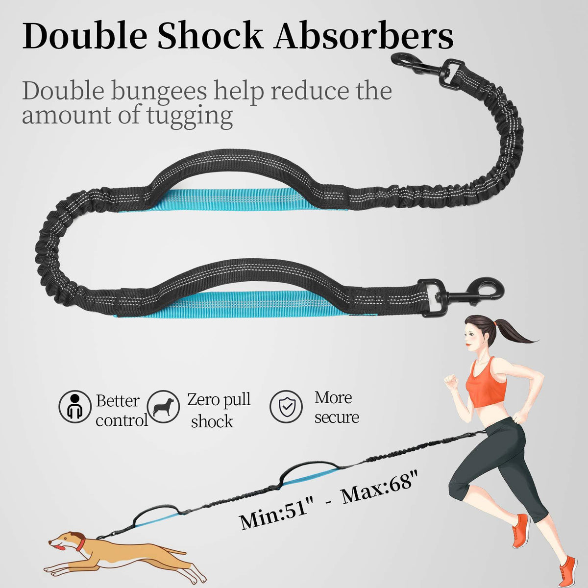 Double shock-absorbing bungee on the Freehound Signature leash stretches from 51 to 68 inches