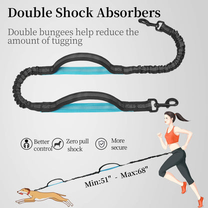 Double shock-absorbing bungee on the Freehound Signature leash stretches from 51 to 68 inches