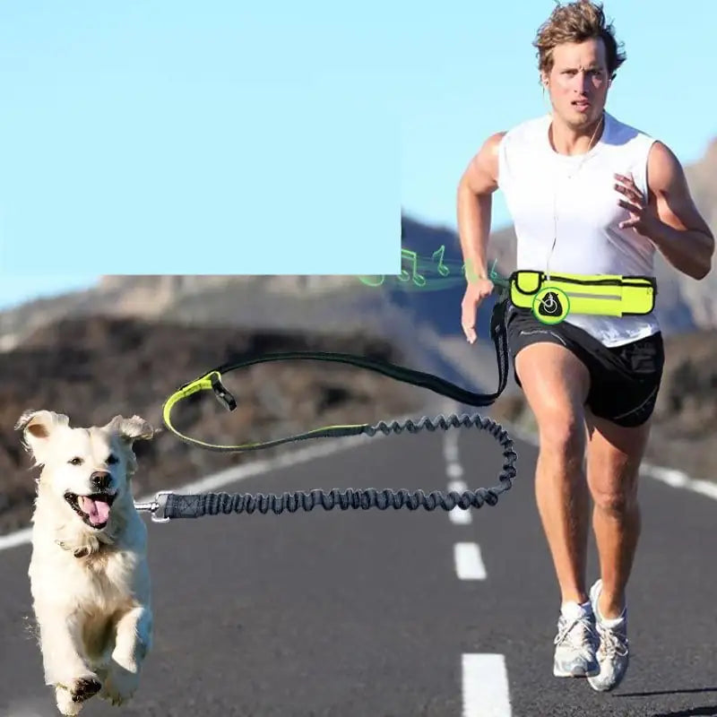 Freehound Ranger no-pull bungee hands-free running leash with waist pocket