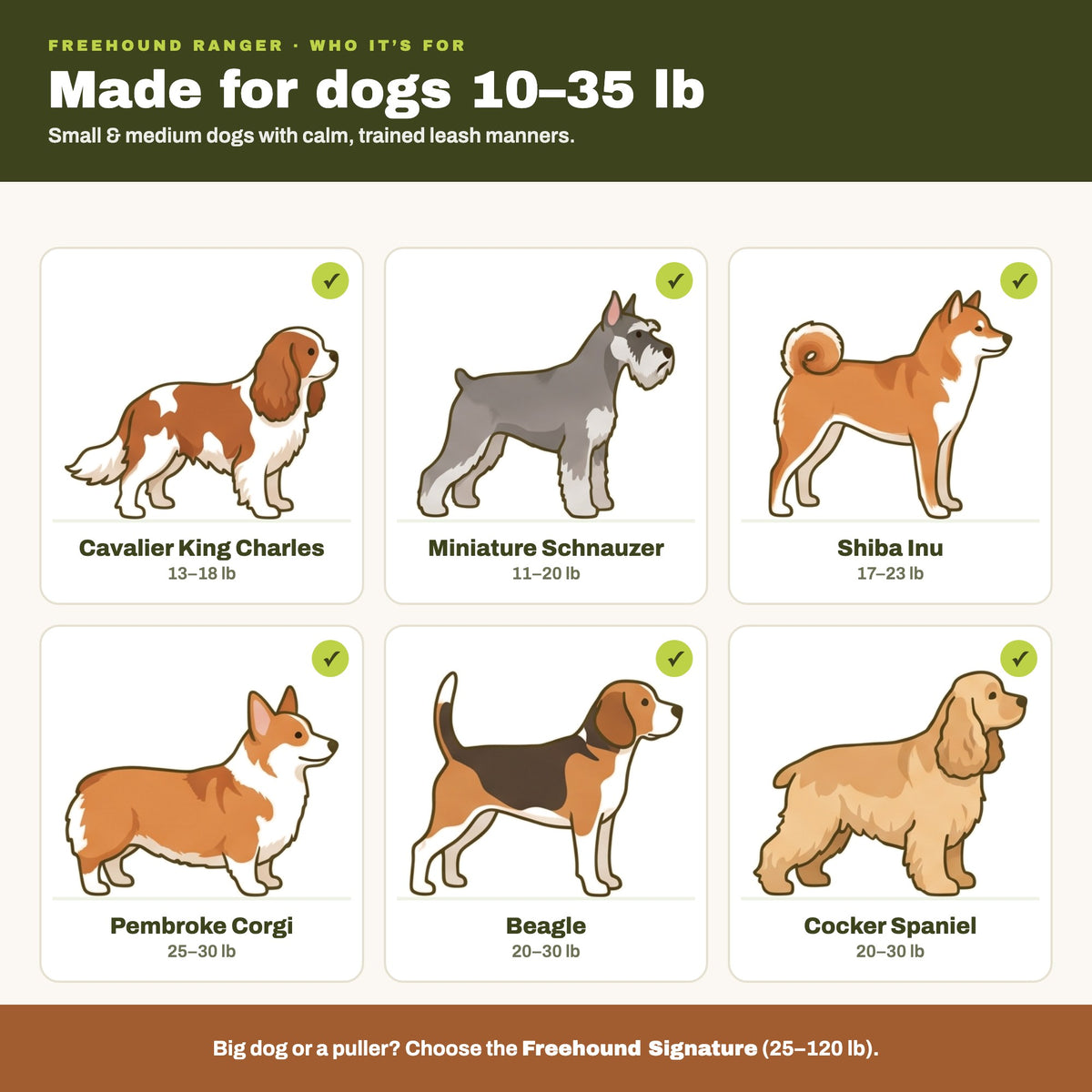Freehound Ranger fits calm dogs 10 to 35 lb: Cavalier King Charles, Miniature Schnauzer, Shiba Inu, Corgi, Beagle, Cocker Spaniel