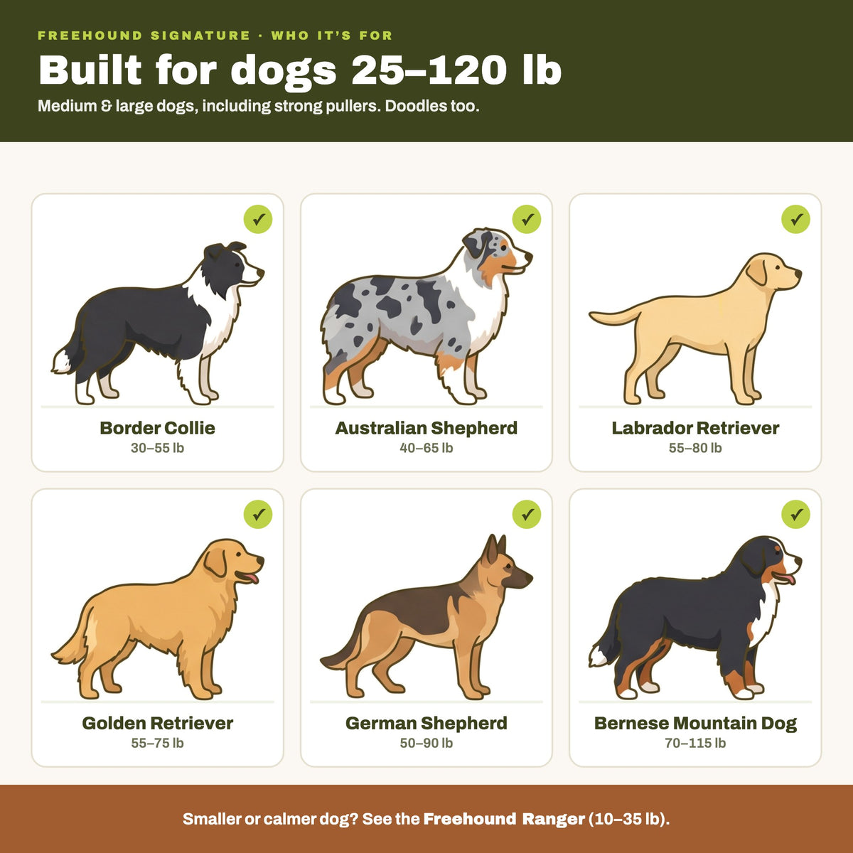 Freehound Signature fits dogs 25 to 120 lb: Border Collie, Australian Shepherd, Labrador, Golden Retriever, German Shepherd, Bernese Mountain Dog