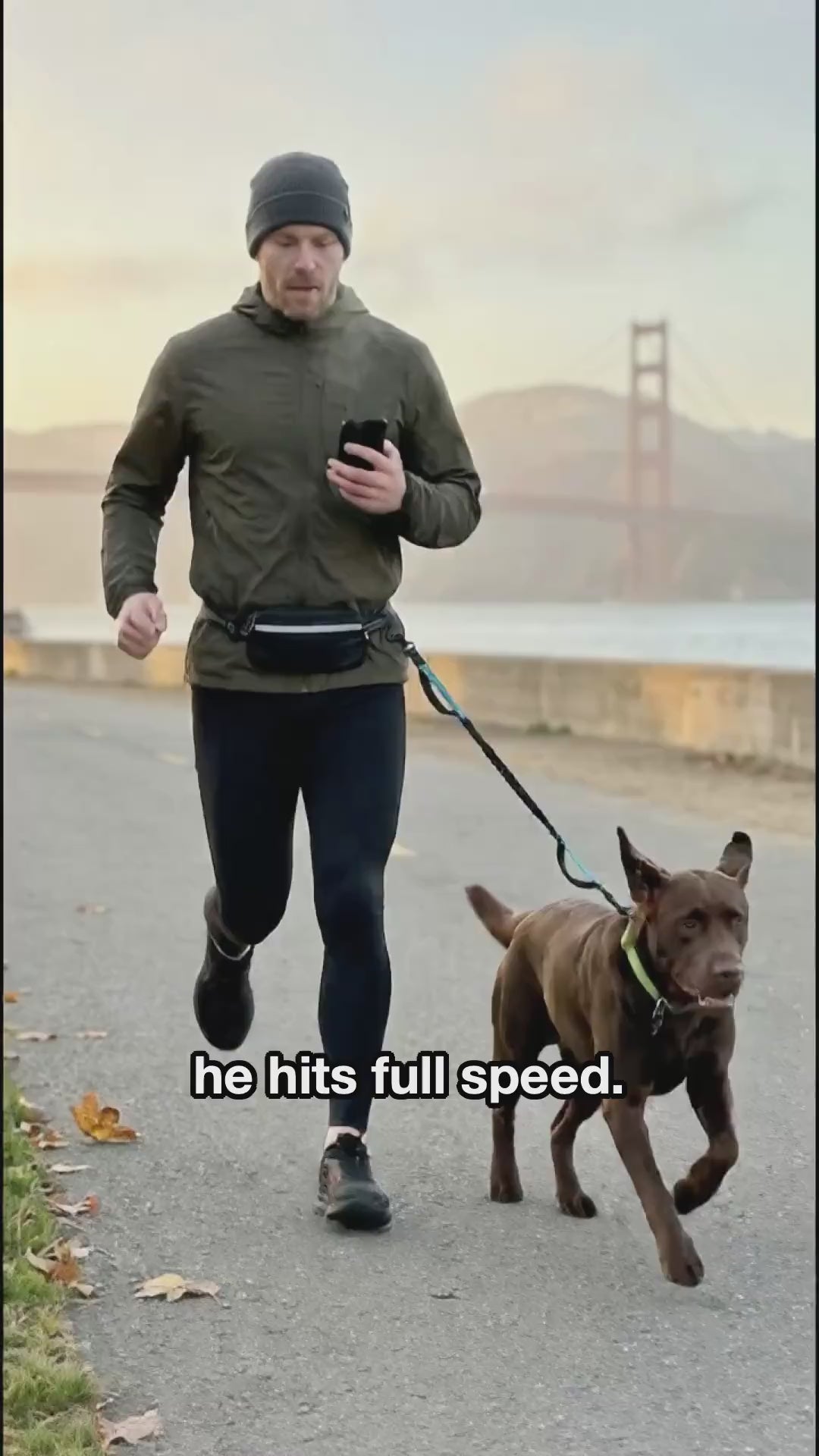 Runner with a chocolate Labrador using the Freehound Signature hands-free leash, phone in hand